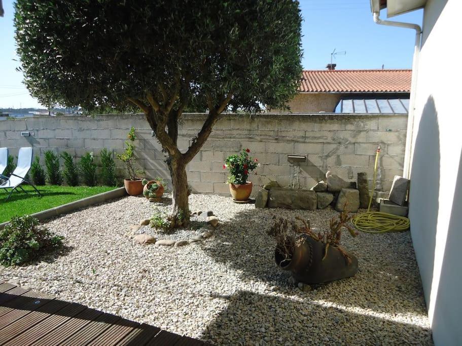House With Pool Casa Da Faia - Aveiro Villa Avanca Luaran gambar